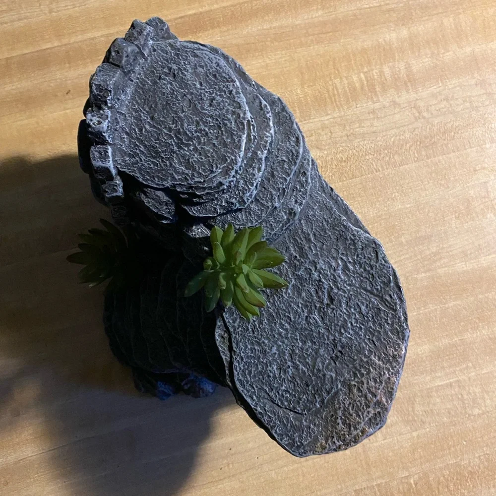 Reptile fancy rock